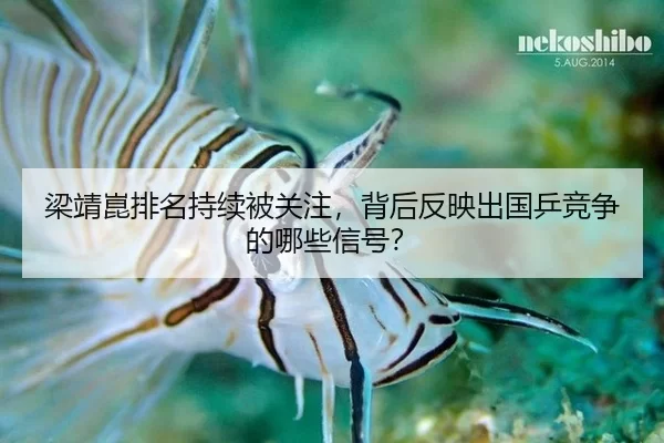 liang-jing-kun-pai-ming-chi-xu-bei-guan-zhu-bei-hou-fan-ying-chu-guo-ping-jing-zheng-de-na-xie-xin-hao-2-209.jpg